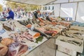 Fresh seafood on the counter