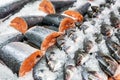 Fresh seafood on crushed ice at fish market. Raw dorado, seabass and salmon fillet on display counter at store. Fish filleting Royalty Free Stock Photo