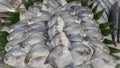 Fresh Seafood display on local market store Royalty Free Stock Photo