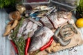 Fresh Seafood - Golden Snapper, Sea Bass, Prawns, Crabs, and Squids.