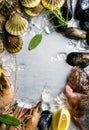 Fresh seafood with herbs and lemon on ice. Prawns, fish, mussels, scallops over steel metal background. Top view, copy Royalty Free Stock Photo