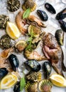 Fresh seafood with herbs and lemon on ice. Prawns, fish, mussels, scallops over steel metal tray Royalty Free Stock Photo