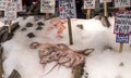 Fresh seafood on ice on display at a fish market