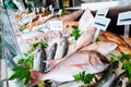 Fresh seafood on ice at the fish market Royalty Free Stock Photo