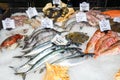 Fresh seafood on ice at the market Royalty Free Stock Photo