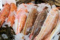 Fresh seafood on ice at the market Royalty Free Stock Photo