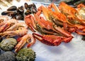 Fresh seafood on ice in a market fishmonger\'s shop