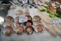 Fresh seafood at an Italian market