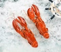 Fresh seafood lobster Royalty Free Stock Photo