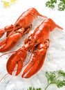 Fresh seafood lobster Royalty Free Stock Photo