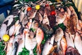 Fresh seafood in the market. Royalty Free Stock Photo