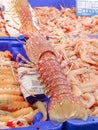 Fresh seafood Norway lobster at the Isla Crsitina fish market, Huelva, Spain Royalty Free Stock Photo