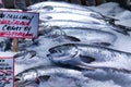 Fresh Seafood Offering at Seattle Pike Place Market, Washington Royalty Free Stock Photo