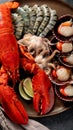 Fresh seafood on a plate. Lobster, shellfish, prawns