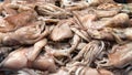 Fresh seafood - raw fresh octopus or squids at the market