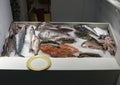 Fresh Seafood for sale in Mykonos
