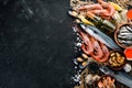 Fresh seafood on a stone background. Fish, shrimp, mussels, caviar. Royalty Free Stock Photo