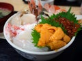 Fresh seafood topped on rice bowl in Japanee style, uni sea urchin, salmon roe eggs, hotate scallops, crab meat and shrimps Royalty Free Stock Photo