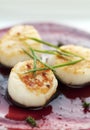 Fresh Seared Scallop Royalty Free Stock Photo