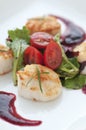 Fresh Seared Scallop Royalty Free Stock Photo