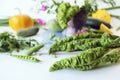 Fresh seasonal organic vegetables and herbs for cooking vegetarian lunch Royalty Free Stock Photo