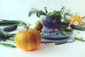 Fresh seasonal organic vegetables and herbs for cooking vegetarian lunch Royalty Free Stock Photo