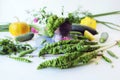 Fresh seasonal organic vegetables and herbs for cooking vegetarian lunch Royalty Free Stock Photo