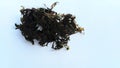 Fresh seaweed on a light background Royalty Free Stock Photo