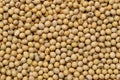 Fresh seed soybean background Royalty Free Stock Photo