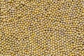 Fresh seed soybean background Royalty Free Stock Photo