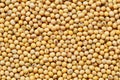 Fresh seed soybean background Royalty Free Stock Photo