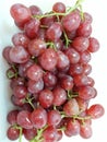 Fresh seedless grape