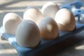 Fresh Set of chicken`s white Eggs in blue egg holder tray Royalty Free Stock Photo