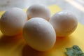 Fresh Set of chicken`s white Eggs display on colorful background Royalty Free Stock Photo