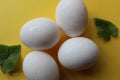 Fresh Set of chicken`s white Eggs display on colorful background Royalty Free Stock Photo