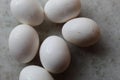 Fresh Set of chicken`s white Eggs display