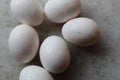 Fresh Set of chicken`s white Eggs display Royalty Free Stock Photo