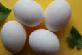 Fresh Set of chicken`s white Eggs display on colorful background Royalty Free Stock Photo