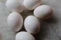 Fresh Set of chicken`s white Eggs display Royalty Free Stock Photo