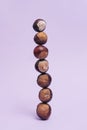 Fresh seven chestnuts standing at the top of each other balancing. Light purple color background