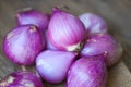 Fresh shallot for medicinal products or herbs and spices Thai food made from this raw shallot, Shallots or red onion, purple