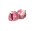 Fresh shallot, onion with slice isolated on white background