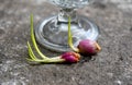 Fresh shallot shoots,placed on the nature stone background