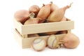 Fresh shallots and a cut one in a wooden box Royalty Free Stock Photo