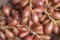 Fresh shallots at farmers market