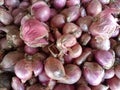 Fresh shallots ready for Fresh shallots ready for sale