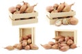 Fresh shallots in a wooden box Royalty Free Stock Photo