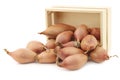 Fresh shallots in a wooden box Royalty Free Stock Photo
