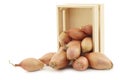 Fresh shallots in a wooden box Royalty Free Stock Photo