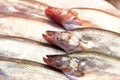 Fresh Sheatfish on Ice selling in a market Royalty Free Stock Photo